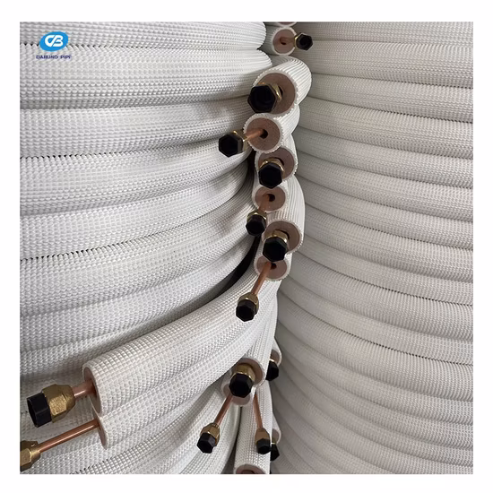 Pre-Galvanized Square Round Steel Tube Scaffolding Monkey Ladder