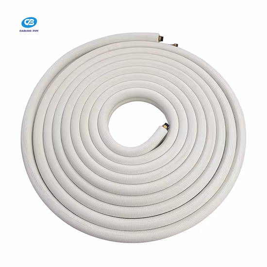 Pre-Galvanized Square Round Steel Tube Scaffolding Monkey Ladder