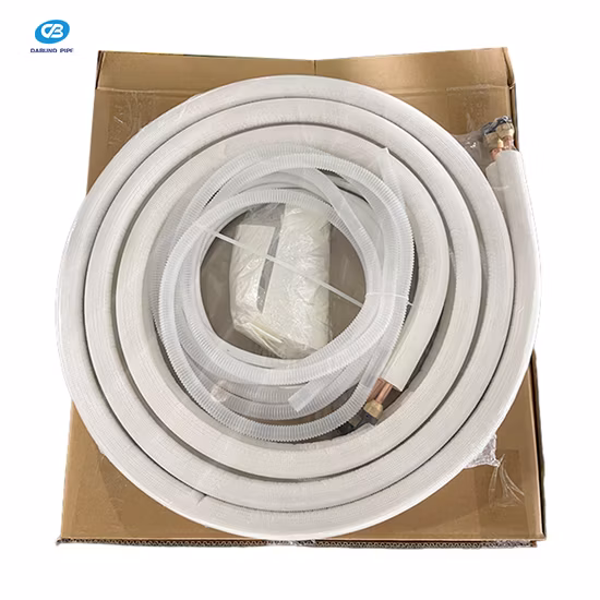 Pre-Galvanized Square Round Steel Tube Scaffolding Monkey Ladder