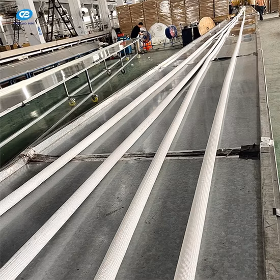 Pre-Galvanized Square Round Steel Tube Scaffolding Monkey Ladder